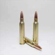 223 Remington 55 grain BTHP @ 3,020 fps. 20 Rounds